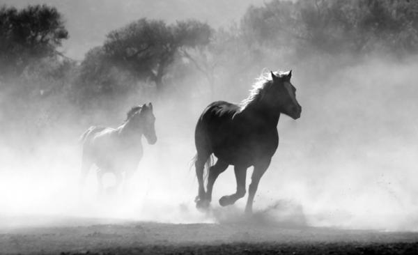 เลขเด็ด 31/7/66