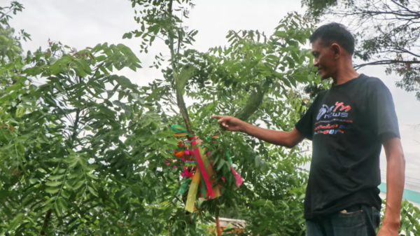 เลขเด็ด 16/8/66