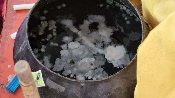 เลขเด็ด 1/9/66