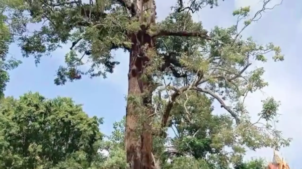 เลขเด็ด 16/9/66