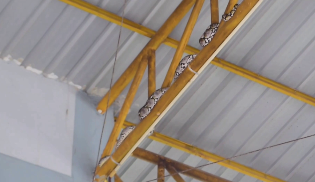 เลขเด็ด 16/10/66