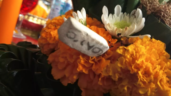 เลขเด็ด 16/10/66