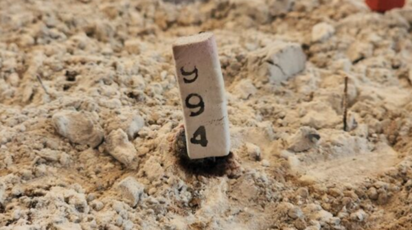 เลขเด็ด 1/12/66