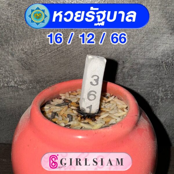 แนวทางหวยไทย