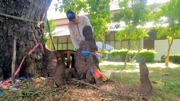 เลขเด็ด 16/12/66