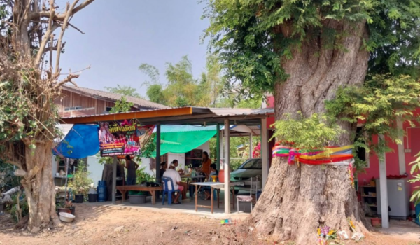 เลขเด็ด 16/2/67