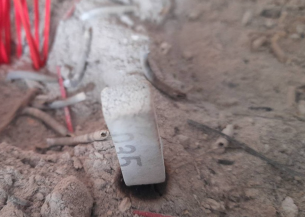 เลขเด็ด 16/5/67