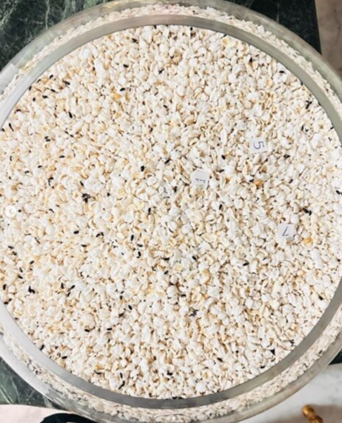 เลขเด็ด 16/6/67