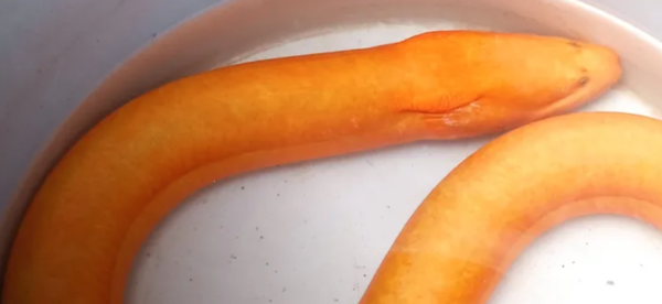 เลขเด็ด 1/9/67